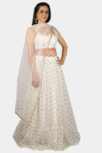 Anaya white and gold lehenga set - knv-dash