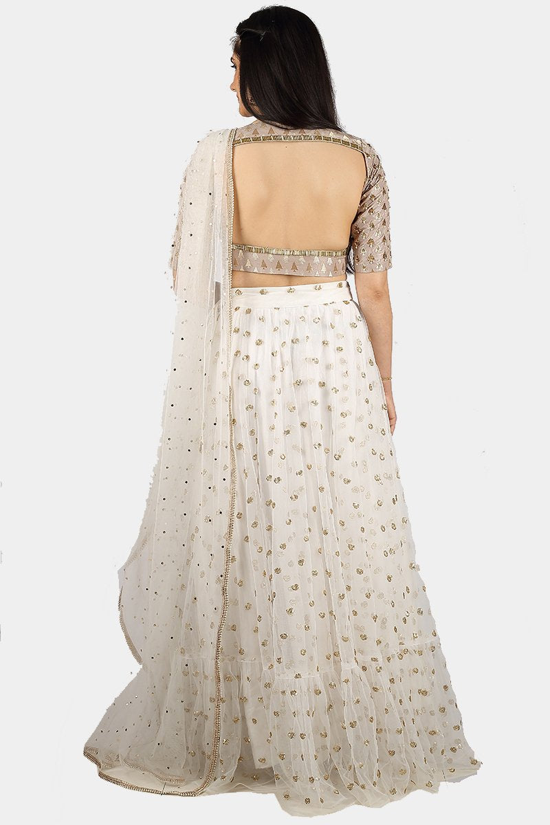 Ananya taupe and white lehenga set - knv-dash
