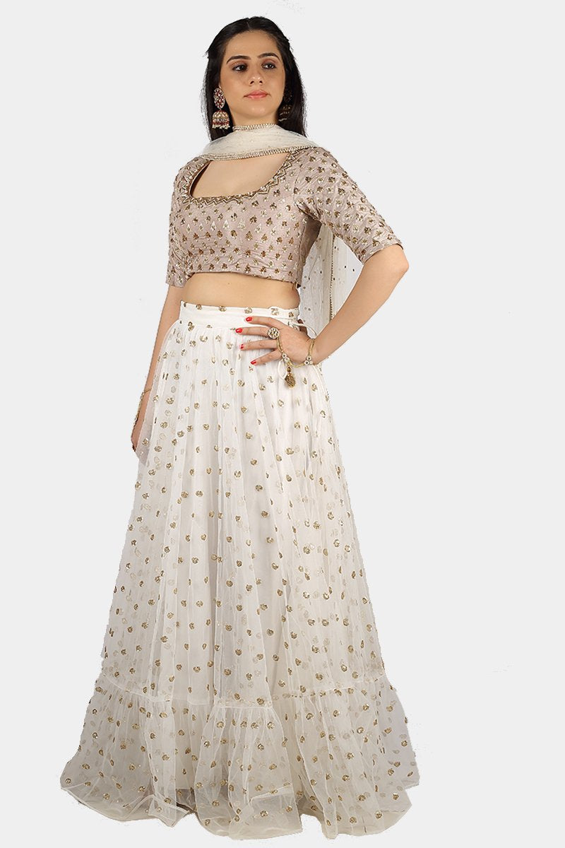 Ananya taupe and white lehenga set - knv-dash